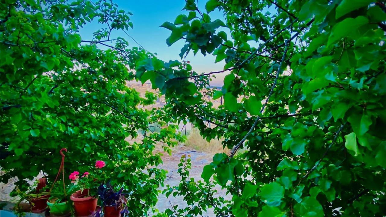 Jerash Canopy Jarash Exterior foto